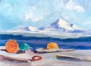 Boundary Bay Sunshine