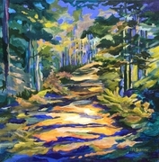 Dappled Hike