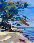 Gulf Island Shore