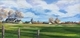 Rural Morning